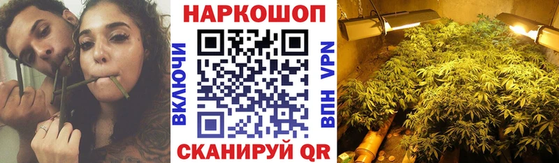 Цена Будённовск Конопля  Кокаин  ОМГ ОМГ ссылка  Гашиш  Alpha PVP 