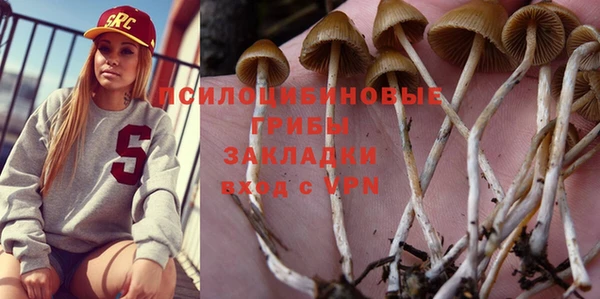 гидропоника Армянск