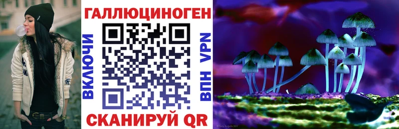 KRAKEN   Будённовск  Галлюциногенные грибы мухоморы 